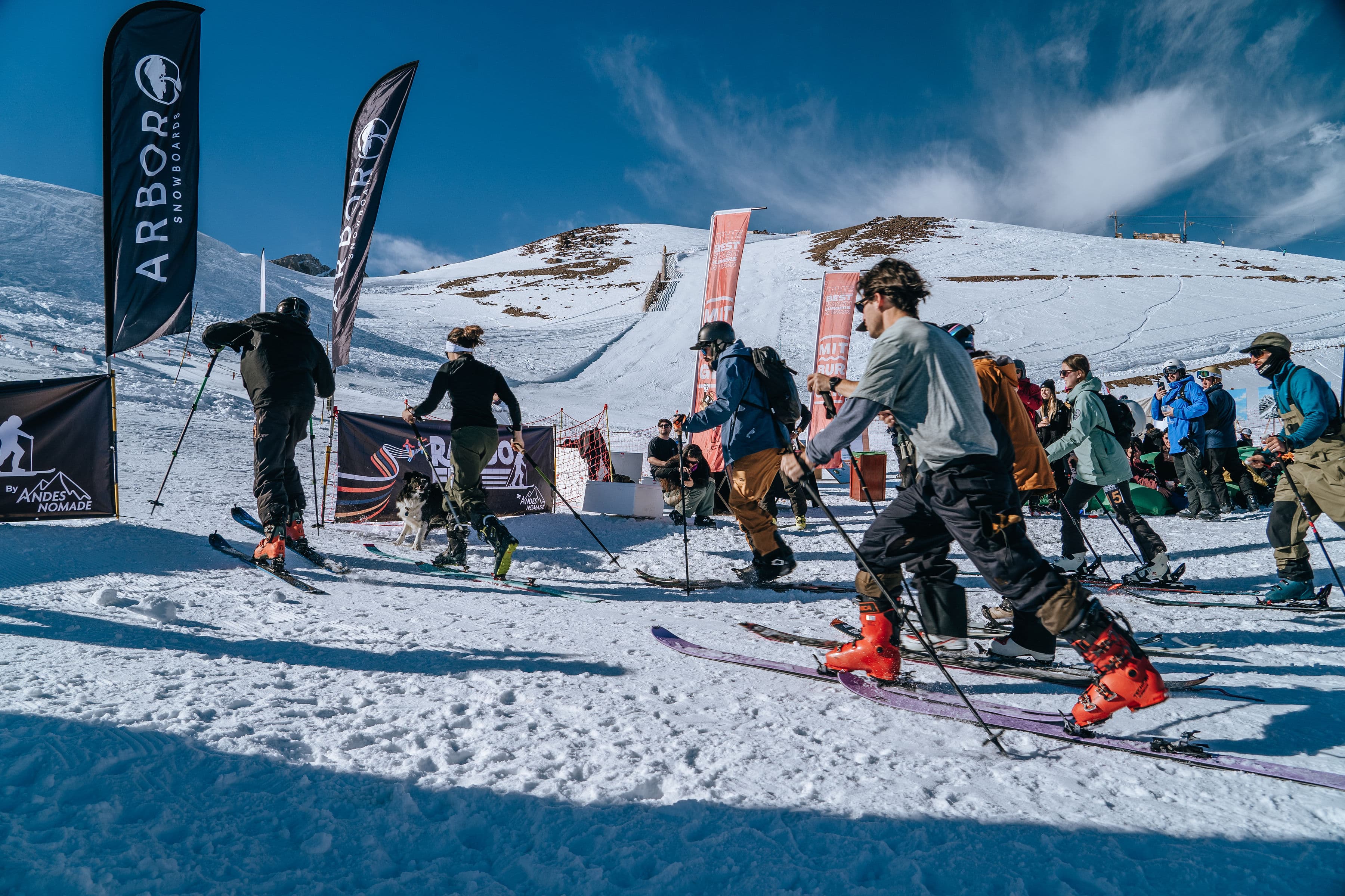 FreeRando Race image}